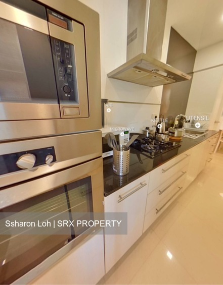 Emerald Park (D3), Condominium #538812521